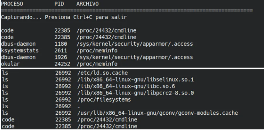 Output of the open_files.py script capturing opened files with information about the process that opens them.