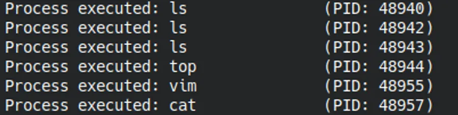 Terminal showing the output of the eBPF program attached to the sched_process_exec hook capturing process names and PIDs